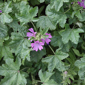 Meet your Posher, Karthika